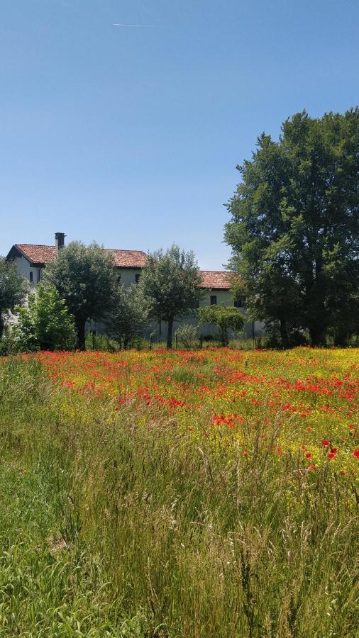 Отель Porte Di Venezia, Tessera Aeroporto Фаваро Венето Экстерьер фото